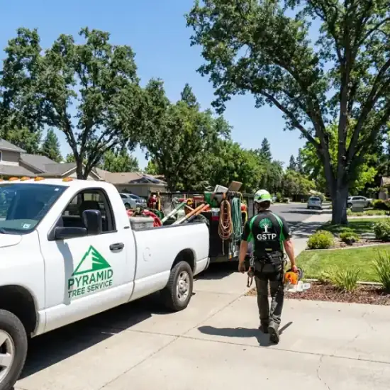 3D Tree Services truck arriving at a Los Angeles residential job