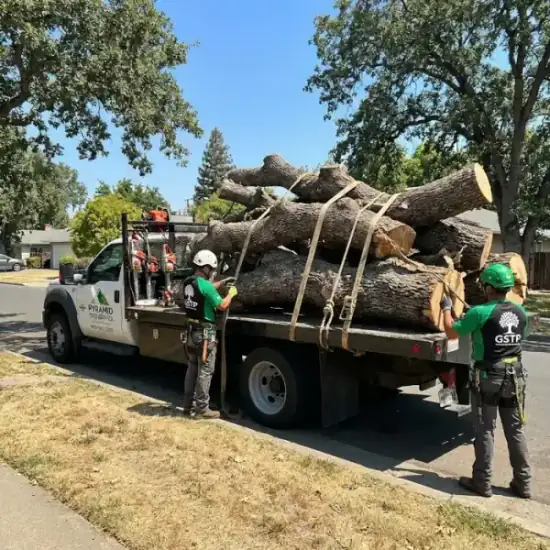 Tree service truck loaded with branches after a Los Angeles job